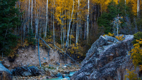 Wallpaper Yellow, Autumn, Landscape, Lake, Rock, Trees, View, Nature