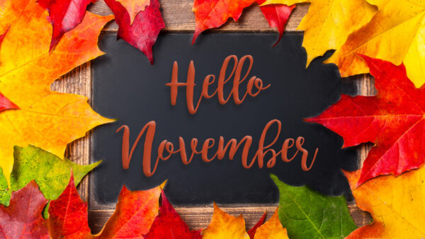 Wallpaper November, Leaves, Autumn, Colorful, Hello, With