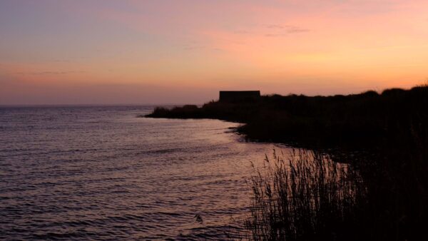 Wallpaper Dark, Silhouette, Water, Shore, Mobile, Background, Ocean, Grass, Desktop