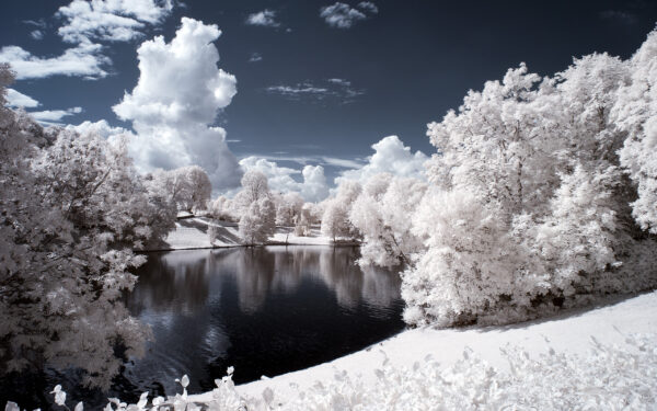 Wallpaper Park, Vigeland, Sculpture, Norway