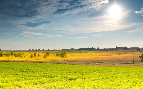 Wallpaper Spring, Sunny, Landscape