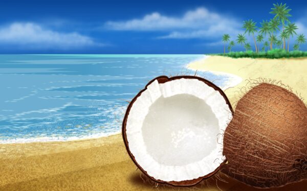Wallpaper Coconuts, Wide