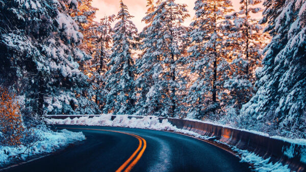 Wallpaper Road, Forest, Winter