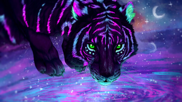 Wallpaper Tiger, Neon