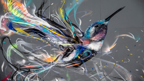 Wallpaper Fewings, Bird, Nick
