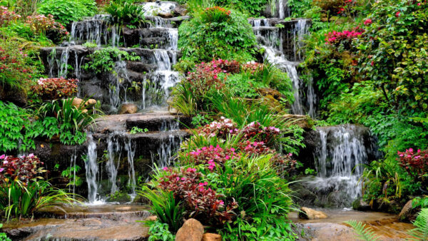 Wallpaper Plants, Garden, Flowers, Beautiful, Nature, With, And, Waterfalls, Trees