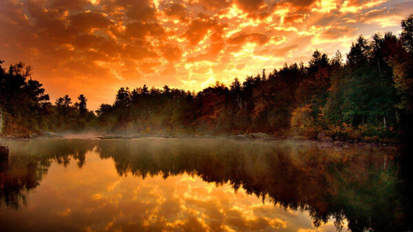 Wallpaper Lake, Trees, With, Sunset, During, Sky, Cloudy, Under, Reflection, Desktop