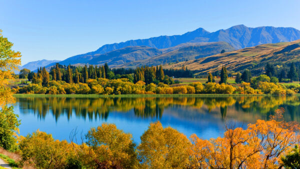 Wallpaper Forest, Green, Nature, And, Landscape, Reflection, With, Mountains, Covered, Desktop, Water, Trees