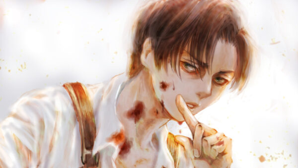 Wallpaper Attack, With, Wounds, Ackerman, Titan, Levi