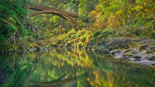 Wallpaper Falls, Forest, Nature, Moulton, Bridge, Lewis, River, Desktop