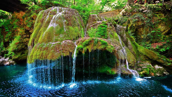 Wallpaper River, Beautiful, Desktop, Forest, Algae, Covered, Pouring, Between, Waterfalls, Rock