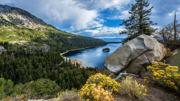 Wallpaper Mobile, Under, Forest, Clouds, White, Nature, Desktop, Mountains, Yellow, Lake, Trees, Beautiful, Slope, Green, Blue, Flowers, Sky