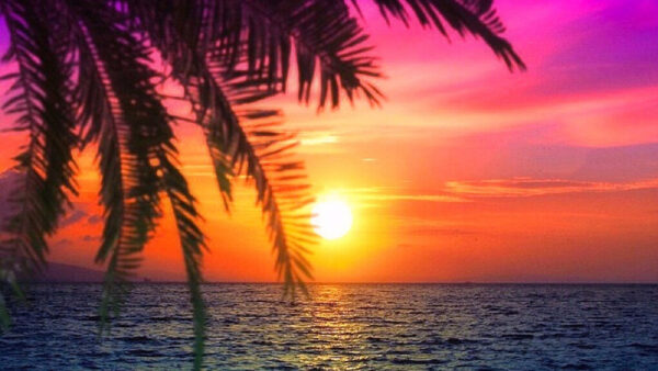 Wallpaper Nature, Ocean, Background, Pink, Sunrise, Beautiful, View, Dark, Reflection, Yellow
