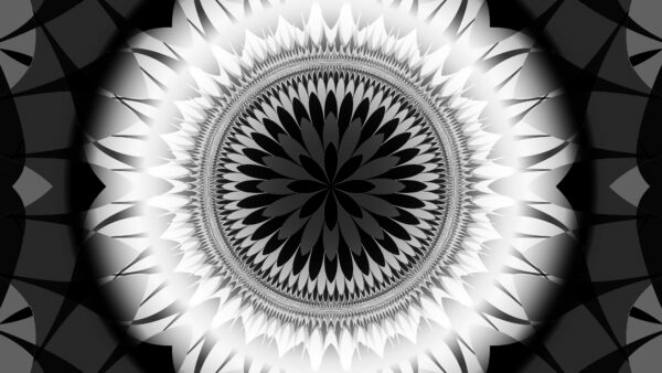 Wallpaper Abstraction, Abstract, White, Shapes, Black, Fractal