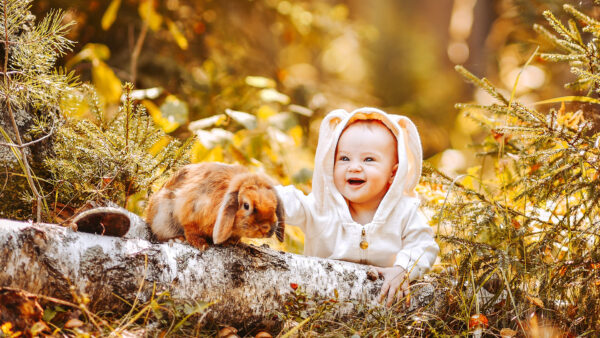 Wallpaper Child, Orange, Near, Sitting, Cute, Dress, Rabbit, Bokeh, Blur, Light, Background, Baby, Wearing, Smiling