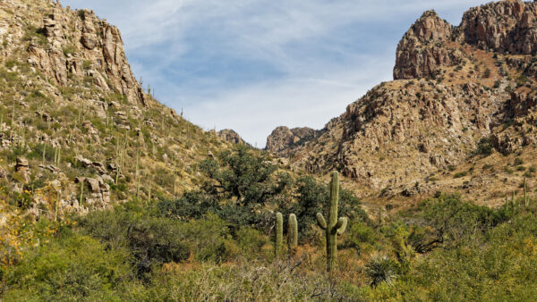 Wallpaper Mountain, Greenery, Under, Trees, Bushes, Cactus, Blue, Desktop, Sky, Rock, Nature, Mobile