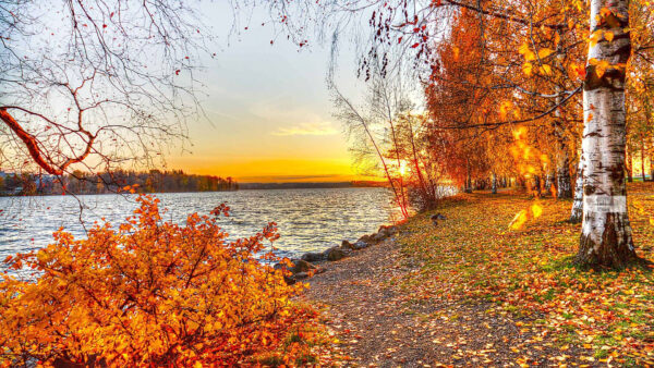 Wallpaper River, Fall, During, Trees, Beautiful, Autumn, And, Orange, Yellow, Sunset