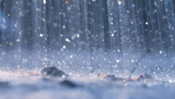 Wallpaper Rain, View, Drops, Closeup