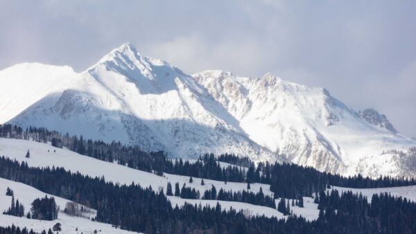 Wallpaper Mountains, Blue, View, Sky, Snow, Spruce, Mobile, Landscape, Slope, Winter, Capped, Trees, Desktop, Background