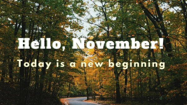 Wallpaper New, Trees, November, Today, Beginning, Hello, Background, Autumn