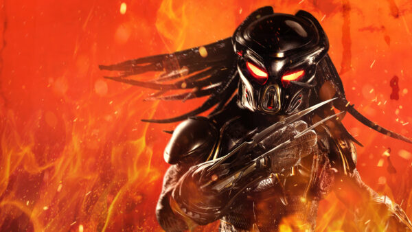 Wallpaper Predator, The