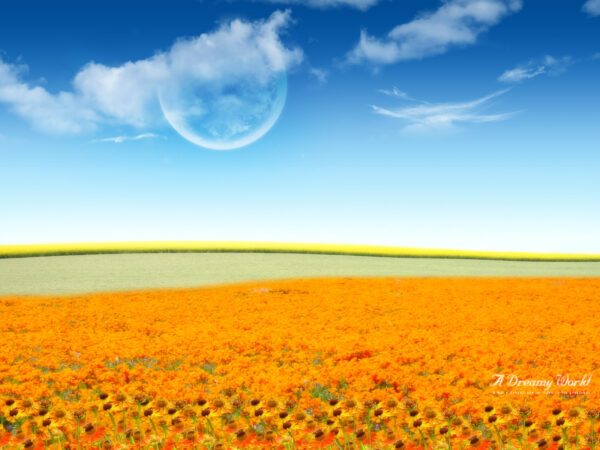 Wallpaper Dreamy, World, Flower