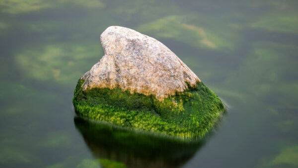 Wallpaper Mobile, Desktop, Stone, Covered, Between, Daytime, Green, Earth, Nature, Water, During, Landscape