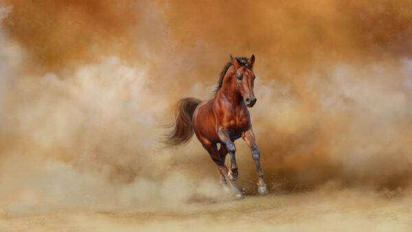 Wallpaper Running, Sand, With, Animals, Desktop, Brown, Background, Flying, Wind, Horse