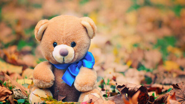 Wallpaper Background, Blur, With, Bear, Blue, Brown, Ribbon, Teddy