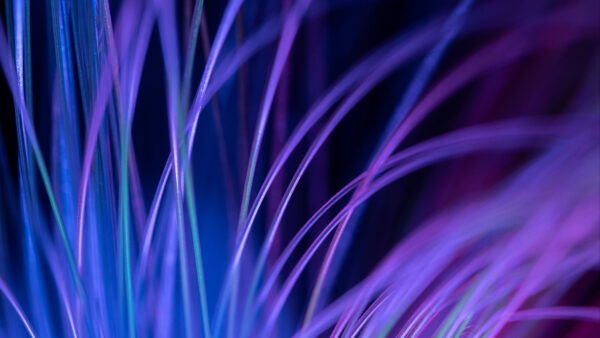 Wallpaper Backlight, Fiber, Macro, Purple, Blue, Abstract