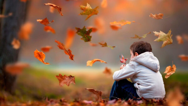 Wallpaper Leaf, Sitting, Boy, Wearing, Cute, Red, Leaves, Fallen, Blue, Background, Dress, Dry, With, White