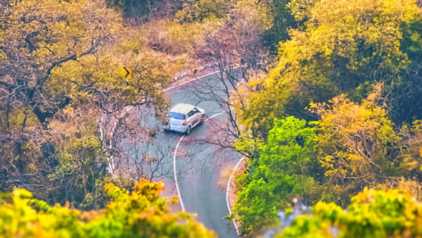 Wallpaper Desktop, Car, Aerial, Road, Mobile, Nature, Trees, View