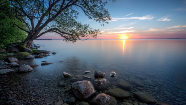 Wallpaper Nature, Reflection, Water, Sunrise, Ocean, Stones, Pebbles, Tree, During