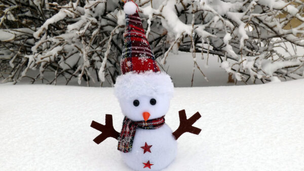 Wallpaper Toy, Covered, Tree, Snowman, Desktop, Background, Snow, Branches