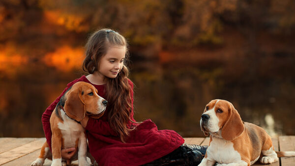 Wallpaper Maroon, Wearing, Sitting, Wood, Girl, Background, Blur, With, Little, Desktop, Dress, Cute, Dock, Dogs