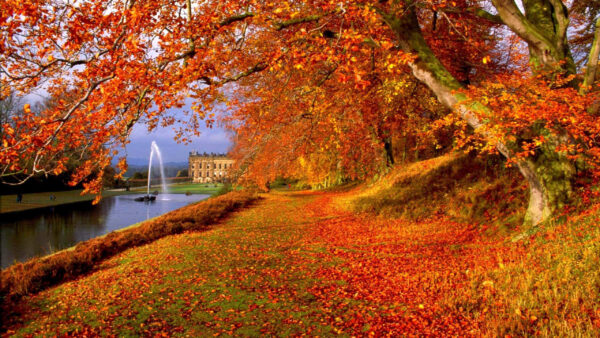 Wallpaper Nature, Red, Autumn, Yellow, River, Beautiful, Trees, Leafed, Scenery