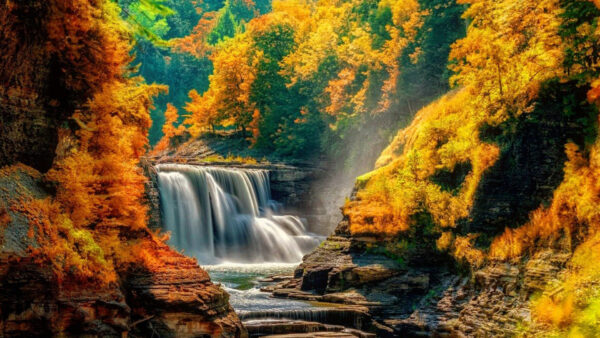 Wallpaper Rock, Trees, Colorful, View, Surrounded, Daytime, During, Stream, Waterfall, Autumn, From, Landscape