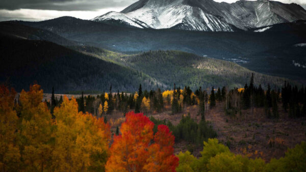 Wallpaper Trees, Landscape, View, Mountains, Green, Fall, White, Covered, Forest, Slope, Autumn, Black, Colorful