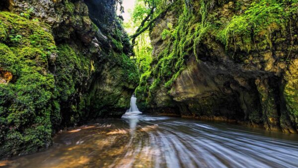 Wallpaper Ripple, Algae, Mountain, Bushes, Rocks, Between, Nature, Waterfall, Green, Plants