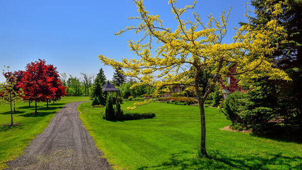 Wallpaper Green, Under, Garden, Road, Leaves, Blue, Hut, Between, Sky, Red, Trees