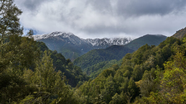 Wallpaper Under, Black, Sky, View, Snow, Clouds, Capped, Green, Trees, Nature, Landscape, Mountains, White