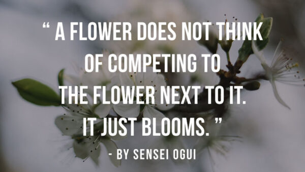 Wallpaper Does, Think, Flower, Competing, Not, Inspirational