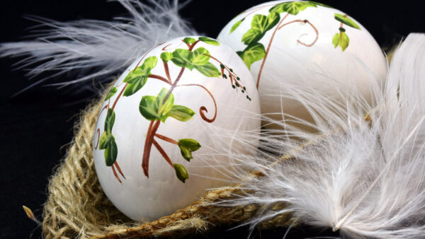 Wallpaper Black, Two, Feather, Closeup, White, Painting, Background, Easter, View, Happy, Eggs