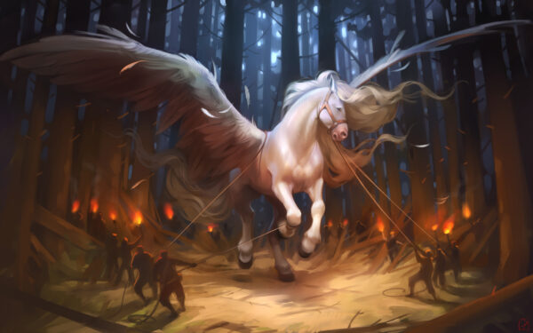 Wallpaper Horse, Pegasus
