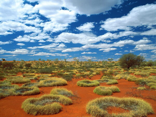 Wallpaper Desert, Little, Sandy, Rings, Spinifex, Australia