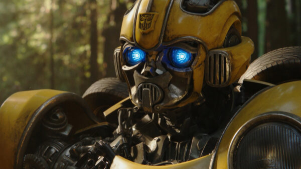 Wallpaper Movie, Bumblebee