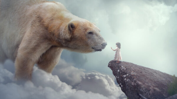 Wallpaper Child, Bear, Polar, Dream