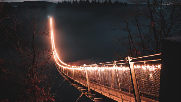 Wallpaper Night, Bridge, 4k, Fog, Trees