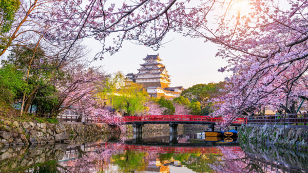 Wallpaper Desktop, Japan, Blossom, Sakura, Himeji, Mobile, Spring, Reflection, Castle, Travel