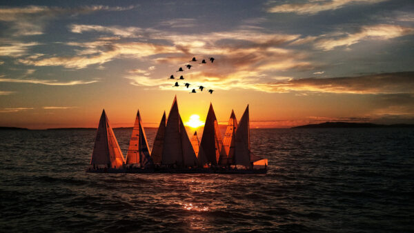 Wallpaper Travel, During, Mobile, Desktop, Sailboats, Sea, Middle, Sunrise